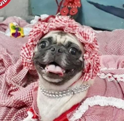 Lulu