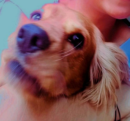 Roky