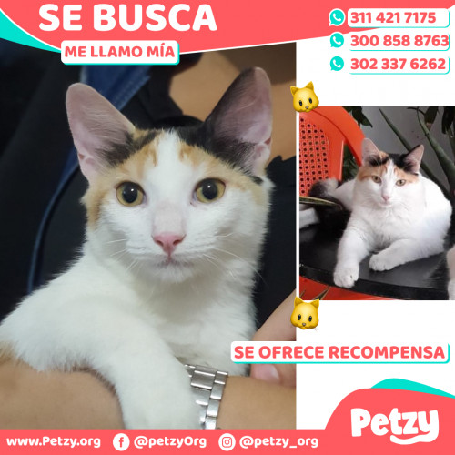 Foto de mascota Mía