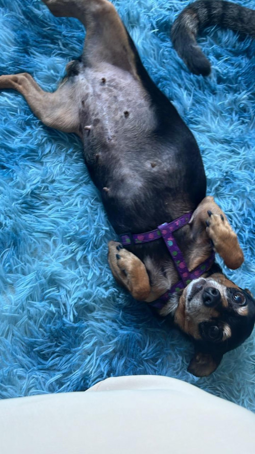 Juanita