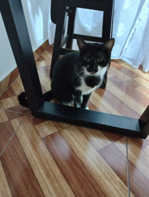 Tom