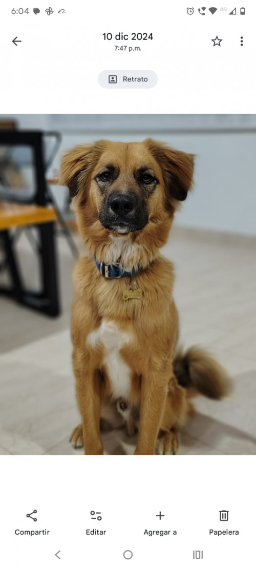 Bruno
