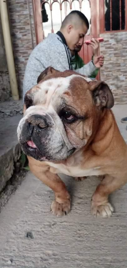 Lucas