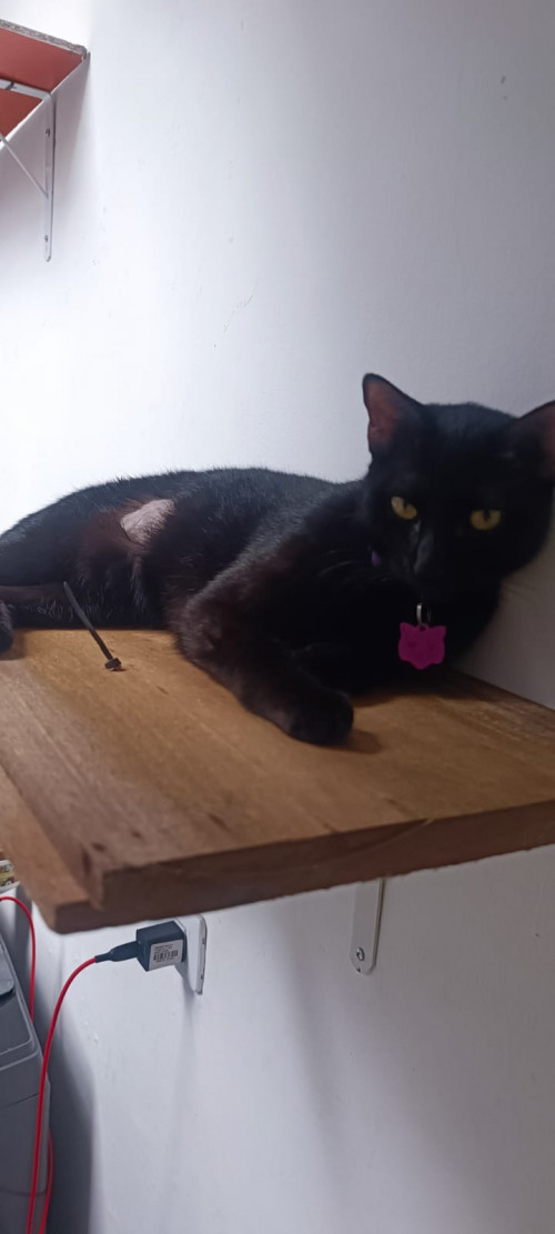 Ella