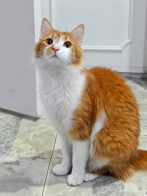 Gary