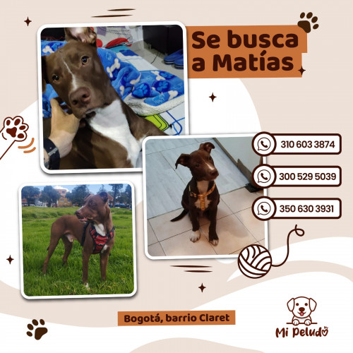 Matías