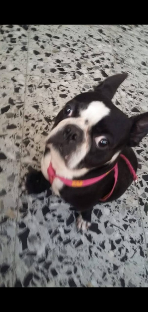 Luna