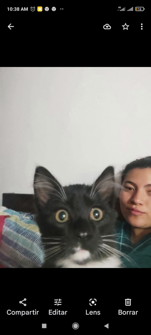 Baloo