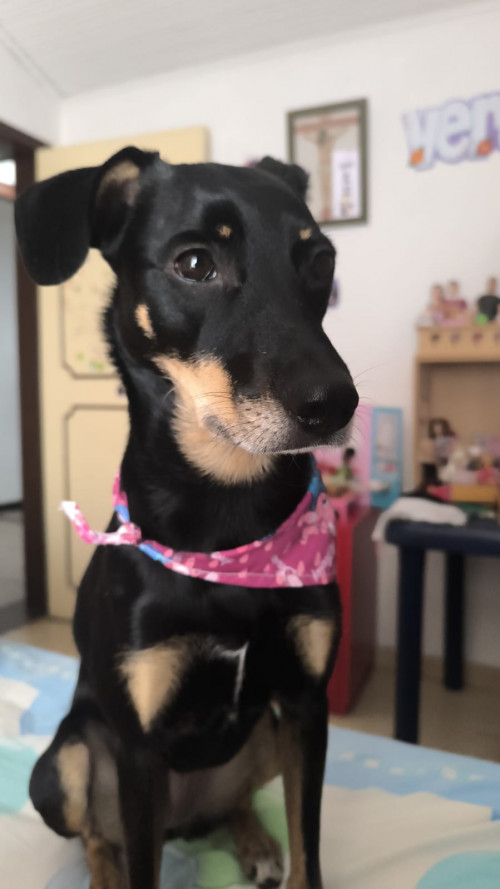 Blacky