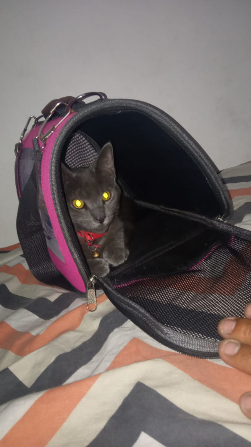 Michu