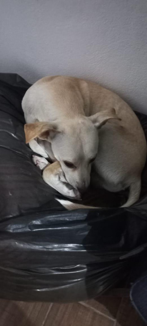 Ojitos