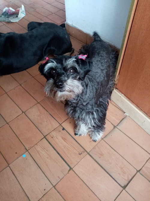 Princesa