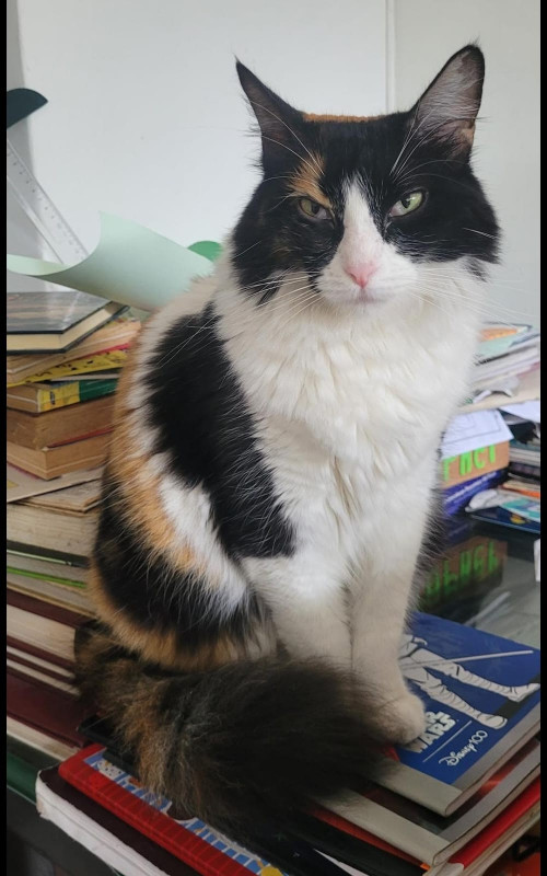 Frida