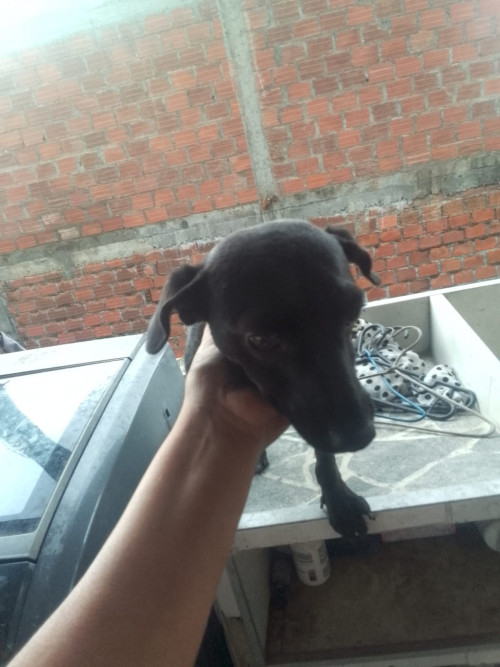 Luna