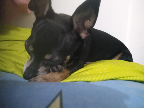 Betty