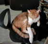 Foto de Darwin en Bucaramanga Santander #0