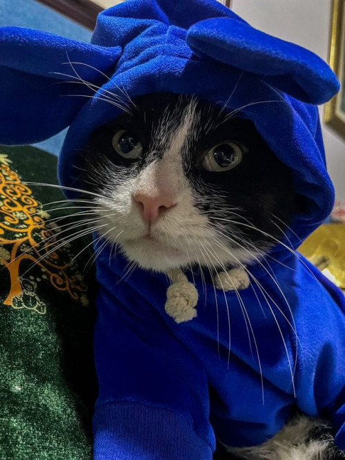 Keanu 