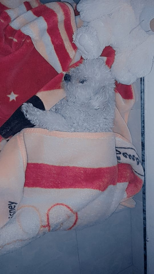 Muñeca
