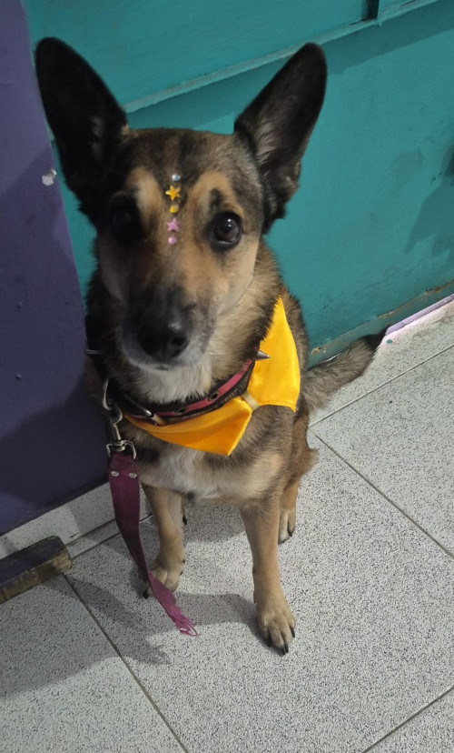 Estrella