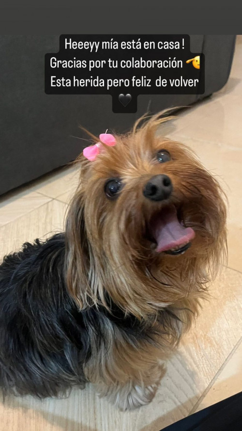 Mia