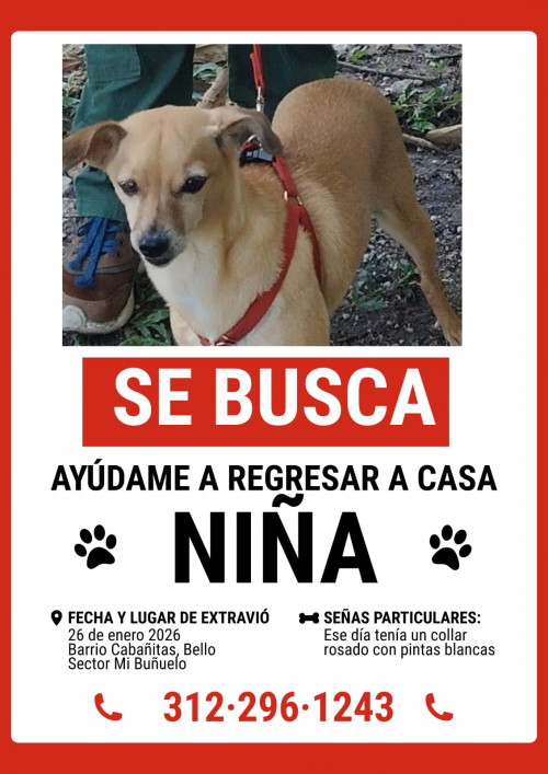 Niña