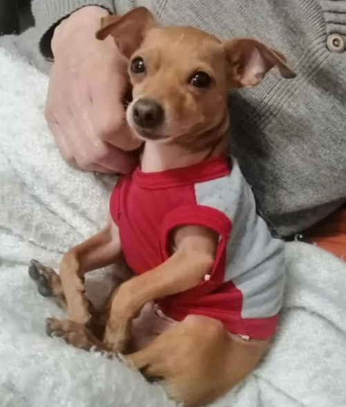 Niño 
