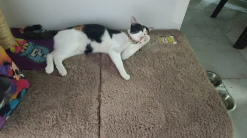 Luna