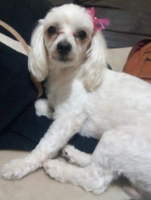 Bebé