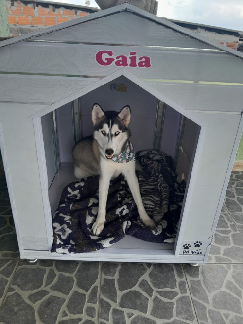 Gaia