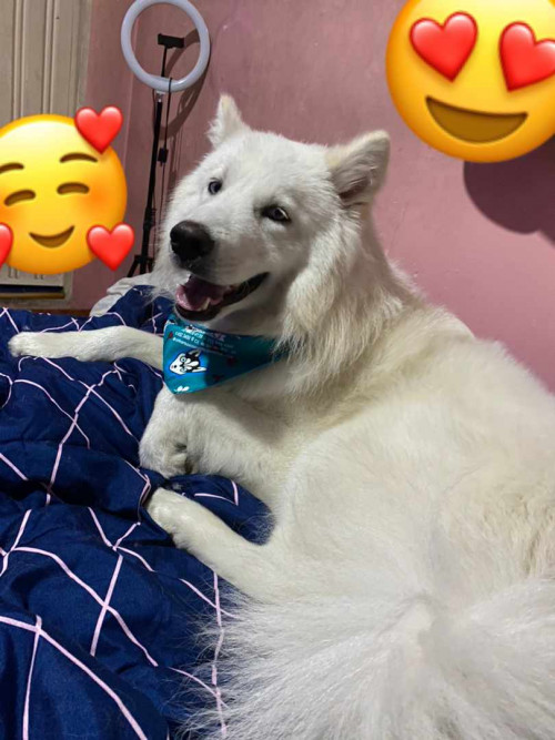 Max