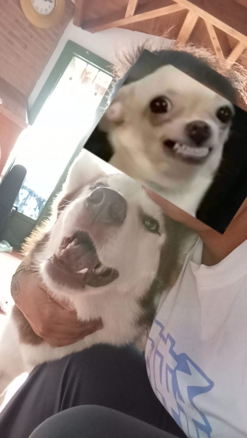 Yeicob