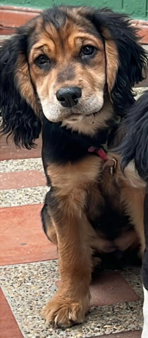 Molly
