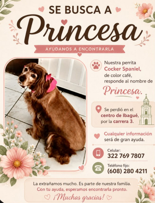 Princesa