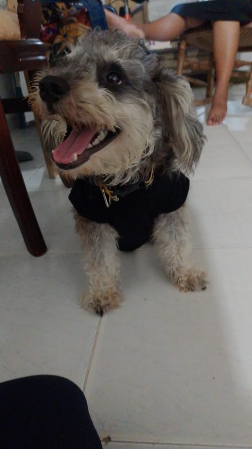 Lucas
