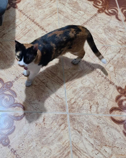 Luna
