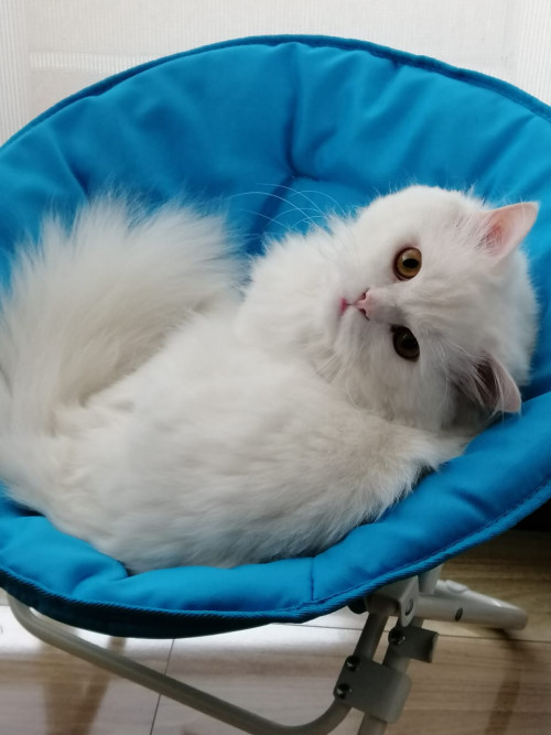 Gary