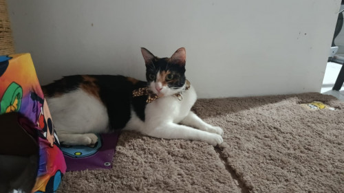 Luna