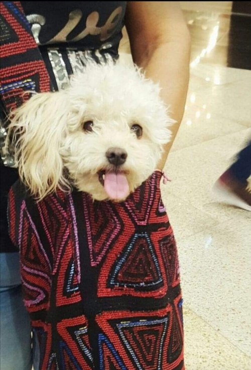 Milu