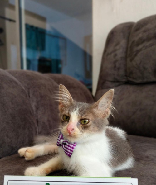 Óscar