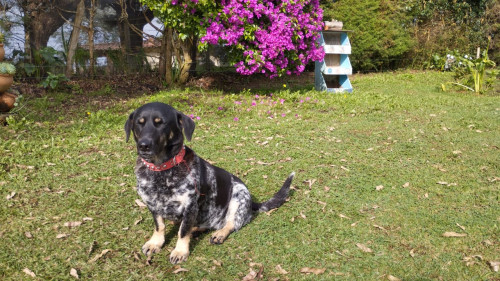 Lola