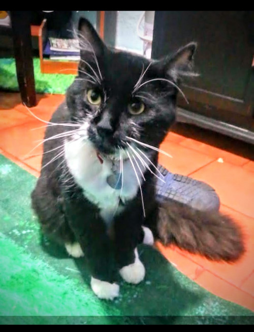 Oliver