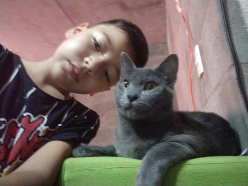 Michu