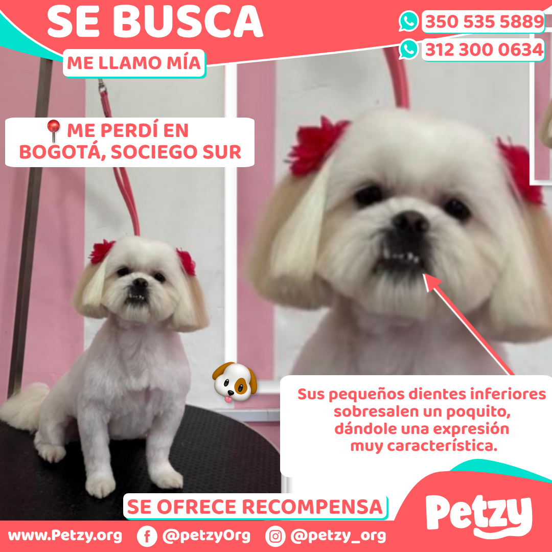 Mía