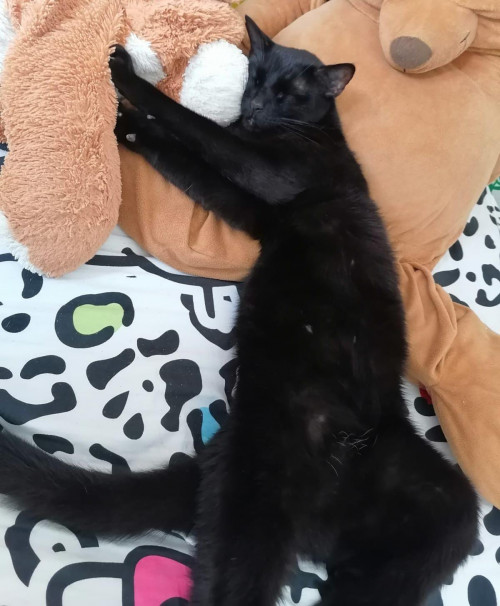 Nilo
