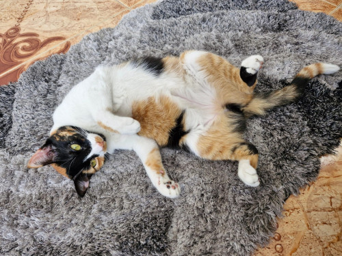 Luna