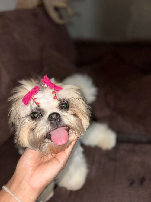 Cloe