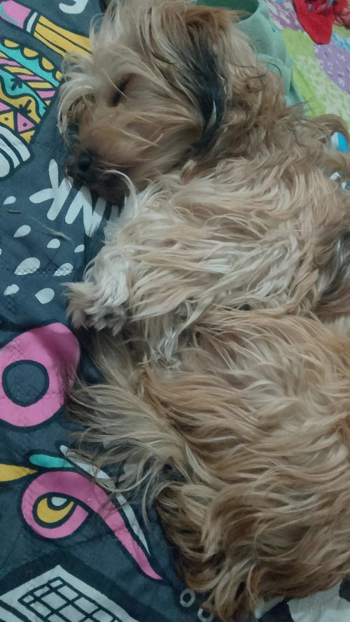 Kosmo