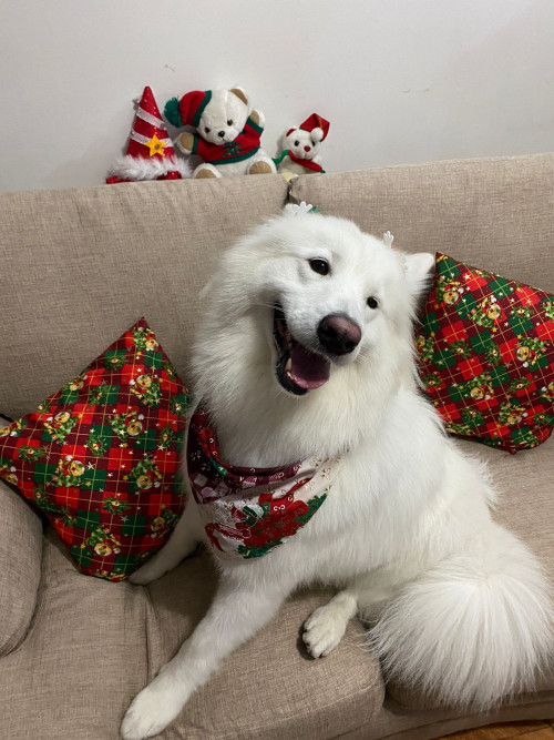 Kira