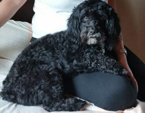 Max