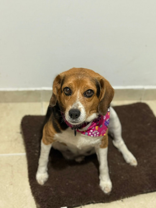Maggie